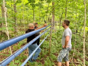 Les robots et les érables