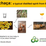 Pr Alcardes seminar is now online!