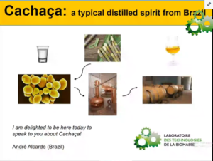 Pr Alcardes seminar is now online!